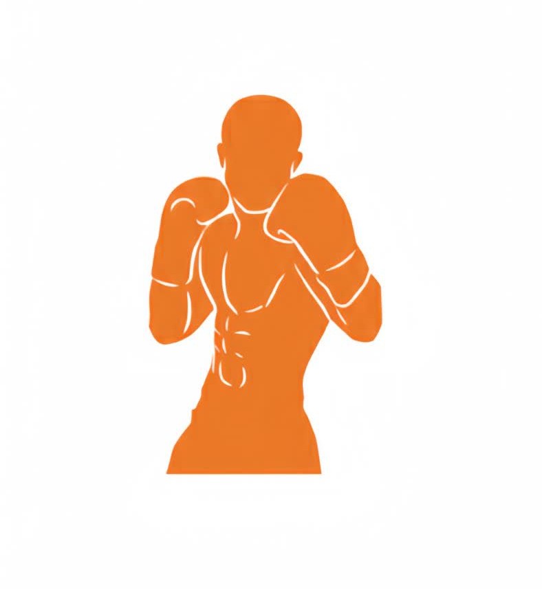 ورزش های رزمی