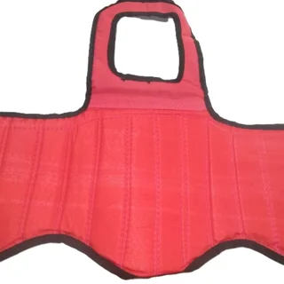 محافظ هوگو رزمی